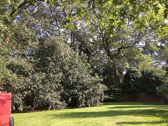 Private Back Yard (Fall)