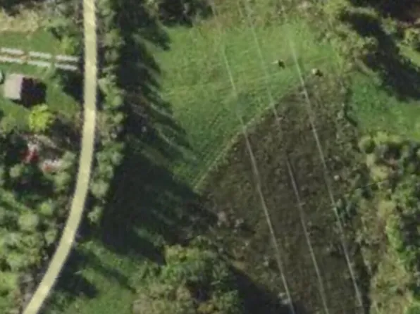2439 Rankin Mill Rd, Falmouth, KY 41040