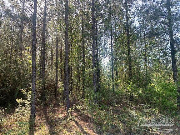 3rd image of Munson Hwy