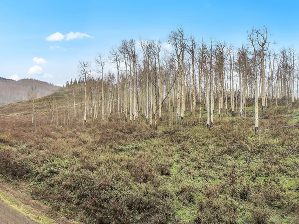 153 GCR 286, Kremmling, CO 80459