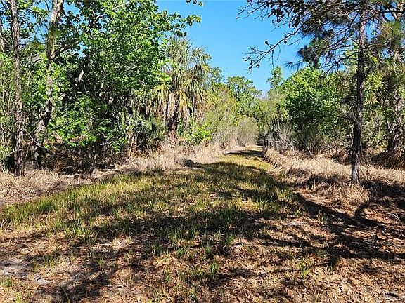 3rd image of 6336 Timberlane Rd #1