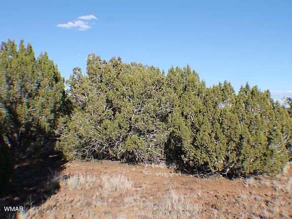 5th image of 2020 Silver Creek Dr