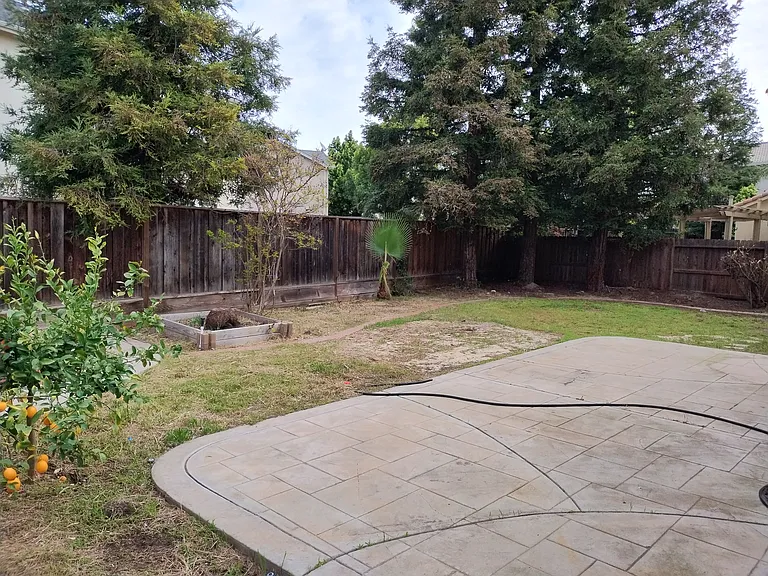 2533 Balmy Ct — Photo 4