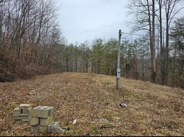 10374 S Wilderness Rd, Livingston, KY 40445