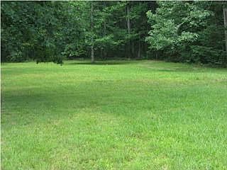 Gorgeous meadow portion of 4.25 acres