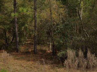 0 Michael Ave, Interlachen, FL 32148