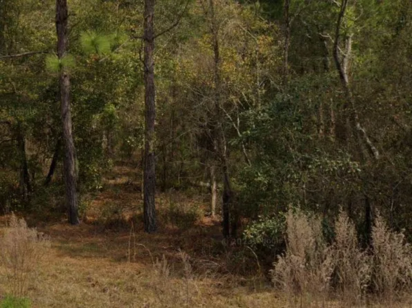 0 MICHAEL Avenue, Interlachen, FL 32148