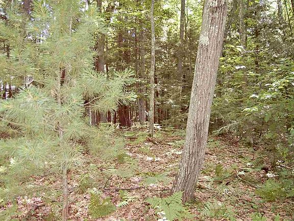 5th image of 53 Juniper Dr