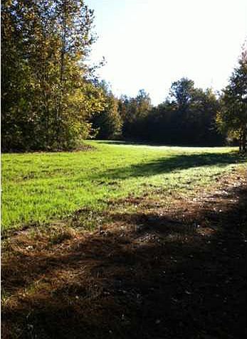 1st image of 0 Old Hwy #51