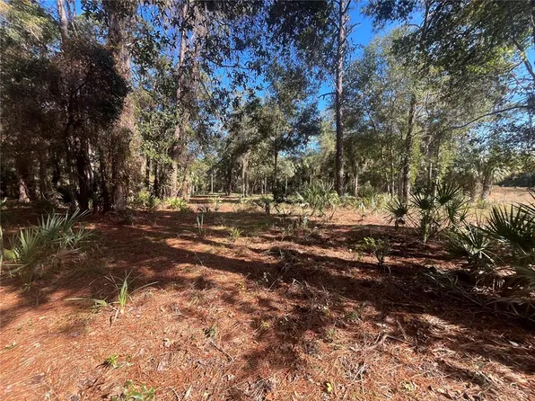 13723 W Foss Groves Path #17, Inglis, FL 34449