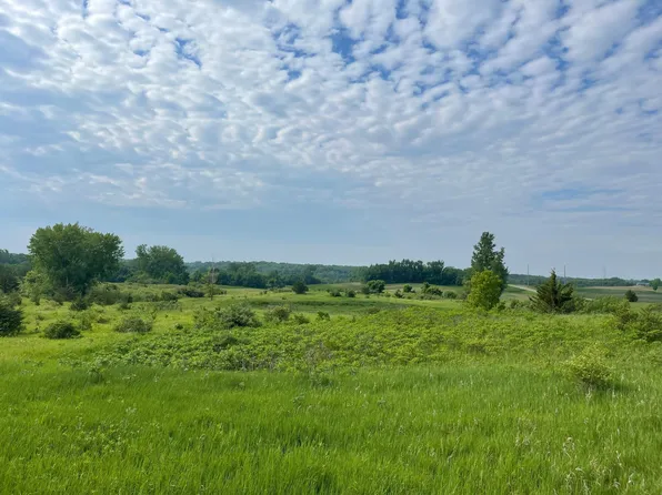 31265 Bridgeview Ct, Paynesville, MN 56362