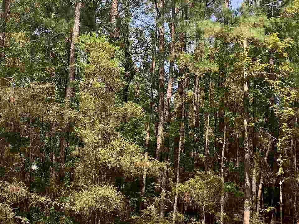 1st image of 0 Arrowcrest Dr