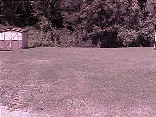 5th image of 901 Sylvan Dr