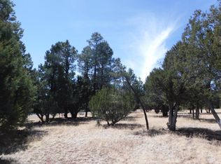 2744 Kitty Hawk Ln, Overgaard, AZ 85933