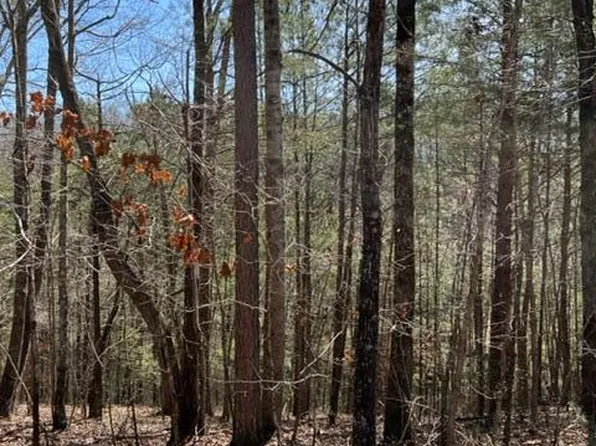 4 Hunter Rdg, Ellijay, GA 30540