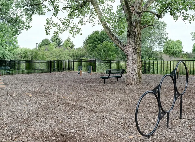 Dog Park