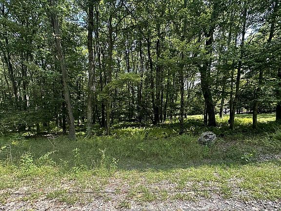 2nd image of LOT 19 E Alpine Dr