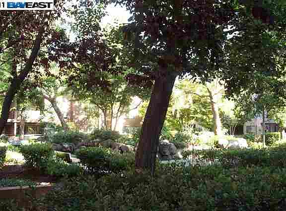 3rd image of 39149 Guardino Dr APT 157