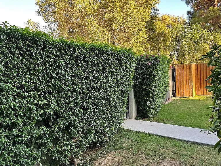 7423 Alabama Ave — Photo 10