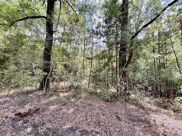 26188 Osceola Rd, Amite, LA 70446