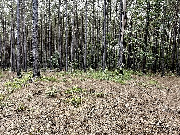 3rd image of 191 Seiber Ridge Rd Lot 131