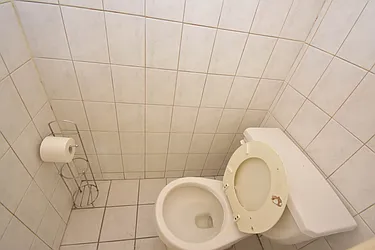 Rented by Stuyvesant Heights Realty Corp