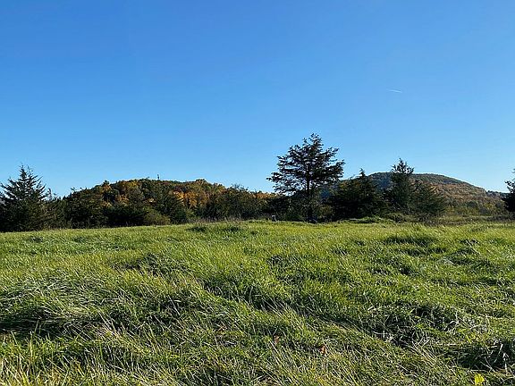 South View, late summer