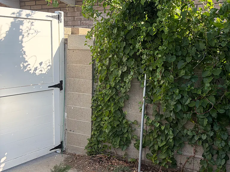 1026 N Mountain View Pl #2 — Photo 12