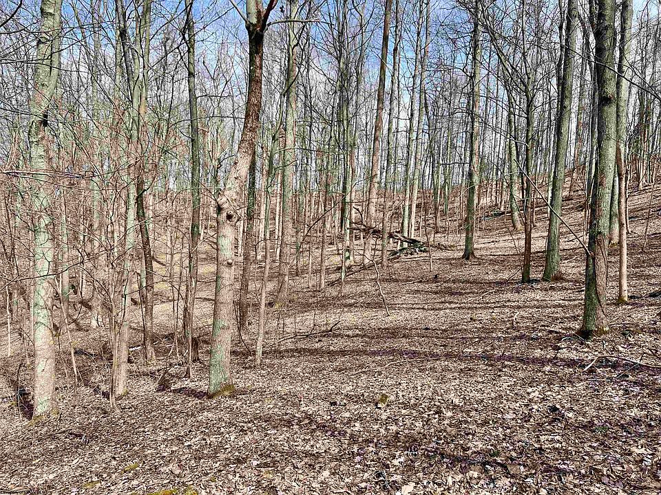 1st image of 1251 County Highway 40 Rd #11