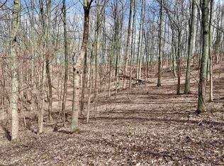 1251 County Highway 40 Rd #11, Duck, WV 25063