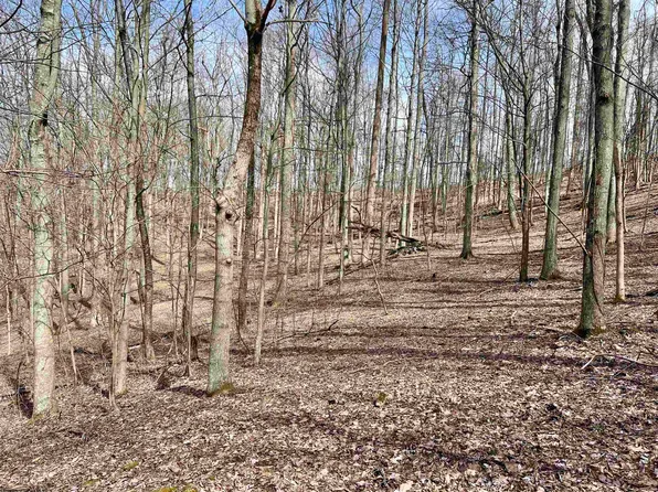 1251 County Highway 40 Rd #11, Duck, WV 25063