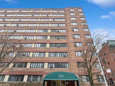 700 W Bittersweet Pl APT 1004, Chicago, IL, 60613