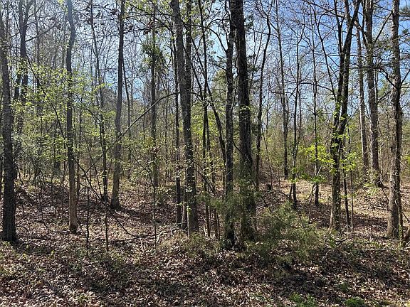 2nd image of Old Woodley Rd