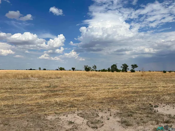 349 S Roosevelt Road Y, Portales, NM 88130