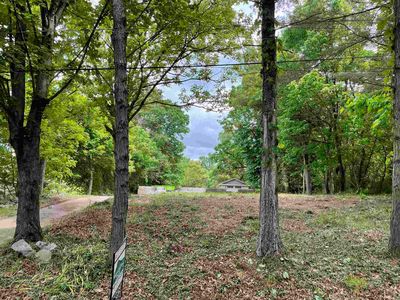 16871 Sapling Ridge Rd, Elkton, VA, 22827