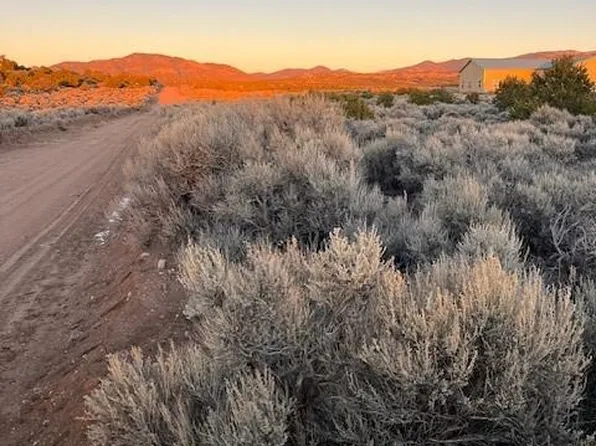 Lot 938 Bateman Road, Fort Garland, CO 81133