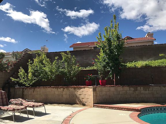 Back Yeard Left side