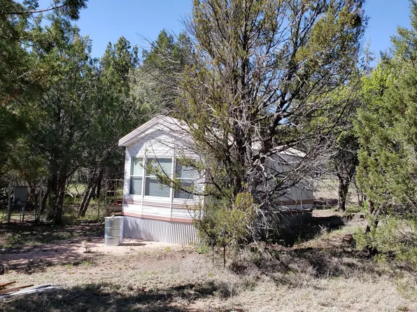 736 E Neaglin Xing, Young, AZ 85554