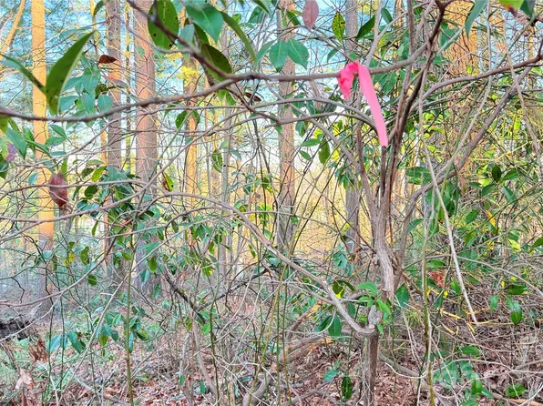 0 Toms Park Cir #21&22, Hendersonville, NC 28739