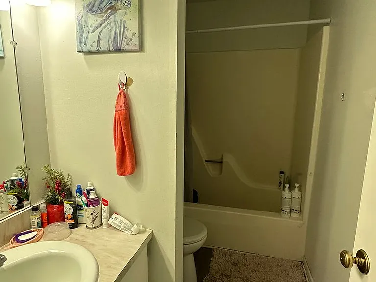 270 Albert Ct — Photo 23