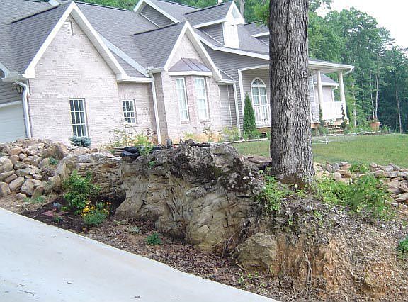 Driveway.Pond stream begins on other side of tree