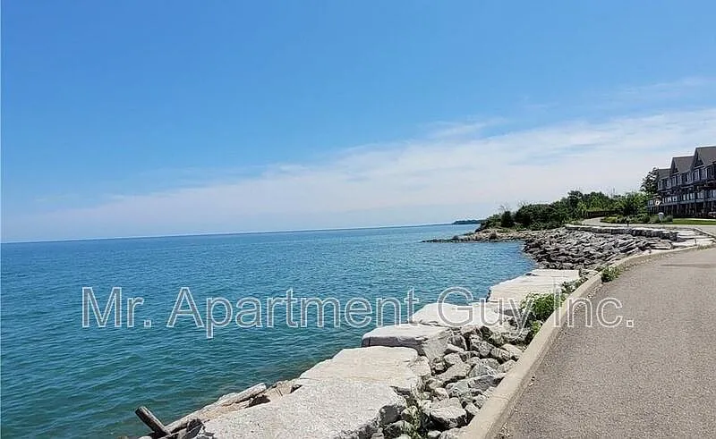 1 bed, 1.0 bath, $1,945 — Photo 2