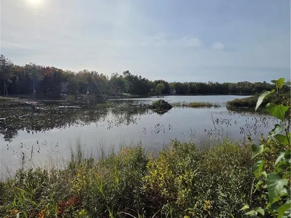 LOT Hazen Ln, Prince William, NB E6K 2N9