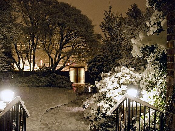 View from front porch in winter