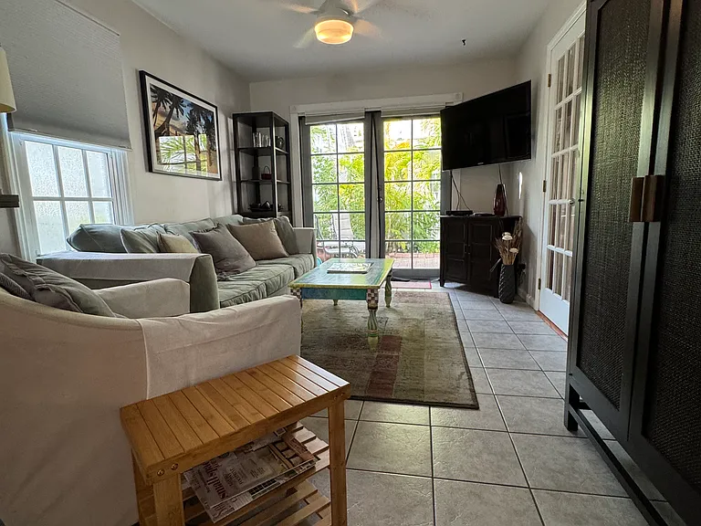 living room (view from the kitchen)
