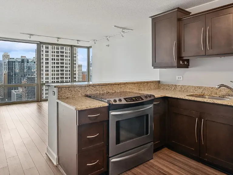 2 E Erie St #2801 — Photo 4