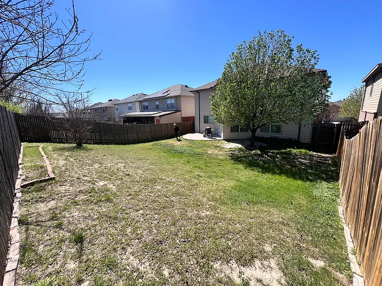 Backyard 3