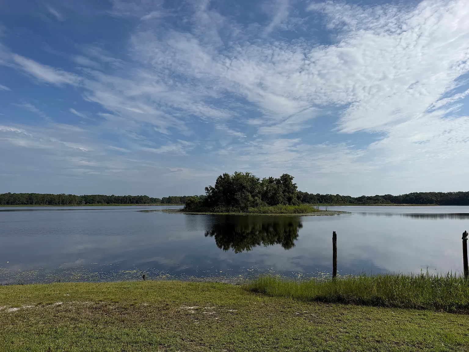 4 bed, 1715 sqft, $3,100 — Photo 3