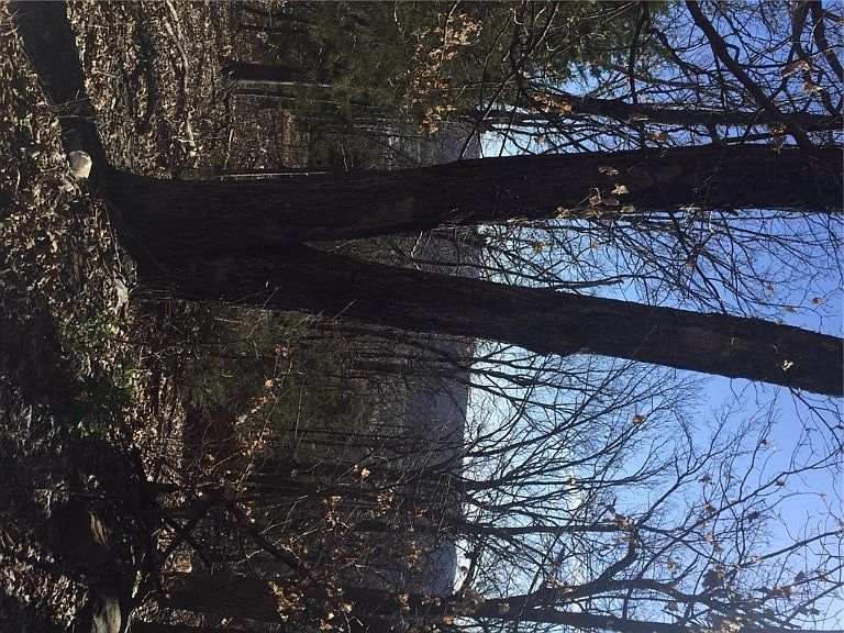 1st image of 13570 S Highway 170 Acres #2.83