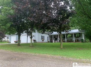 125 Clark St, Springville, NY 14141